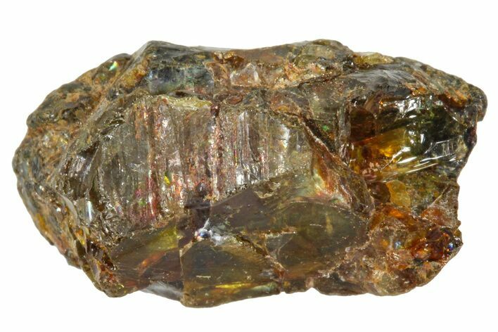 Pallasite Meteorite ( g) - NWA #367753